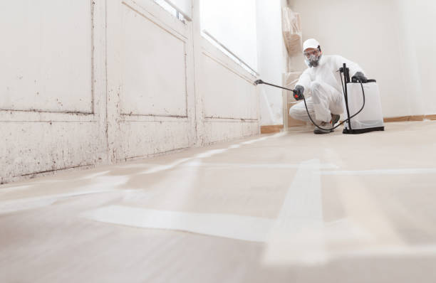 24/7 Emergency Commercial Mold Remediation experts in Sparta, IL