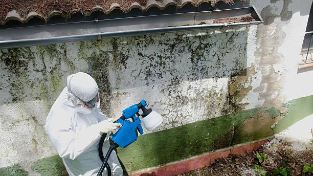 Top rated local Commercial Mold Remediation specialists in Sparta, IL